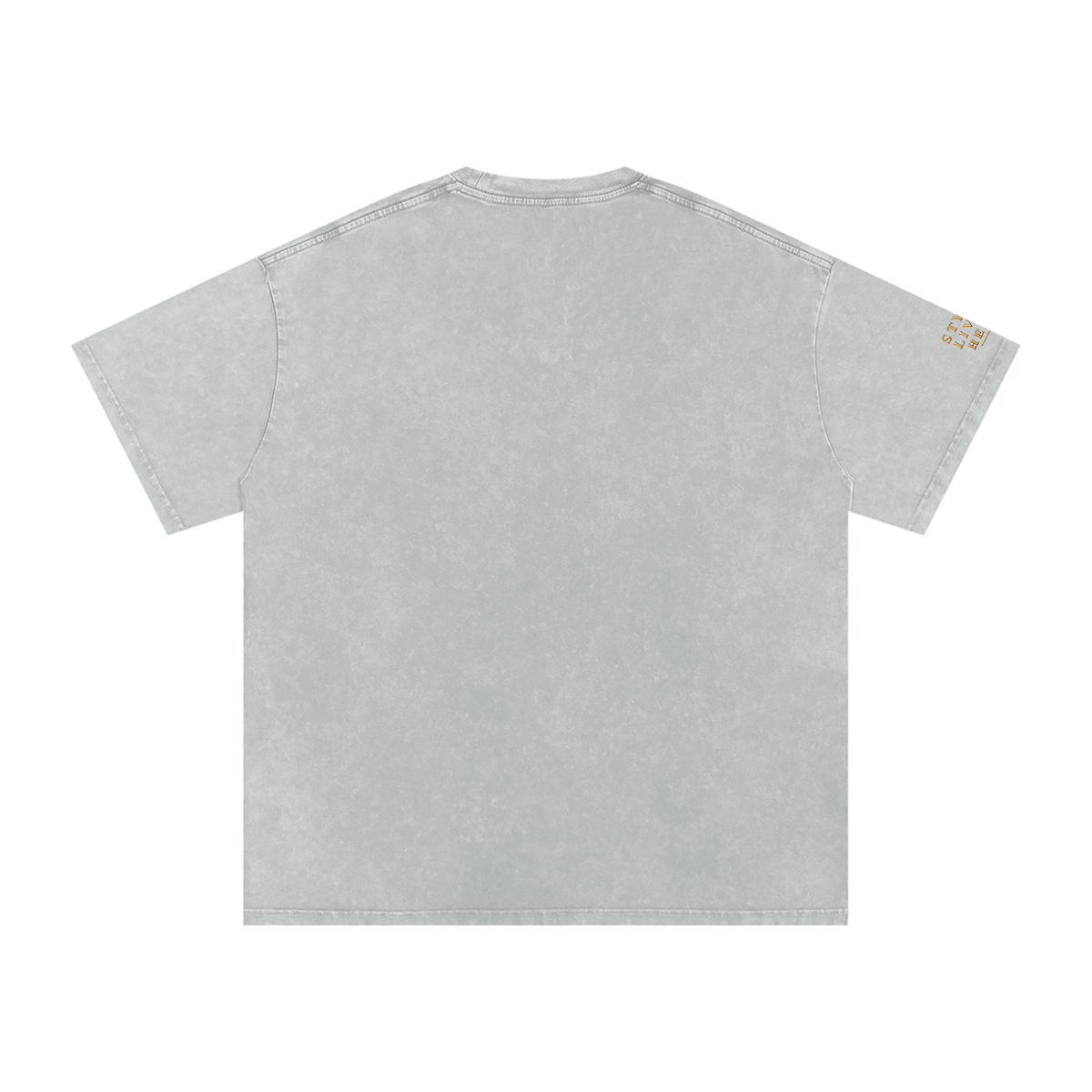 Maison Verdant Signature Washed Oversized Tee