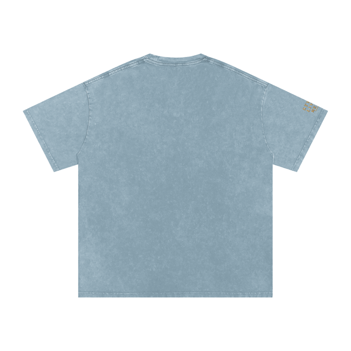 Maison Verdant Signature Washed Oversized Tee